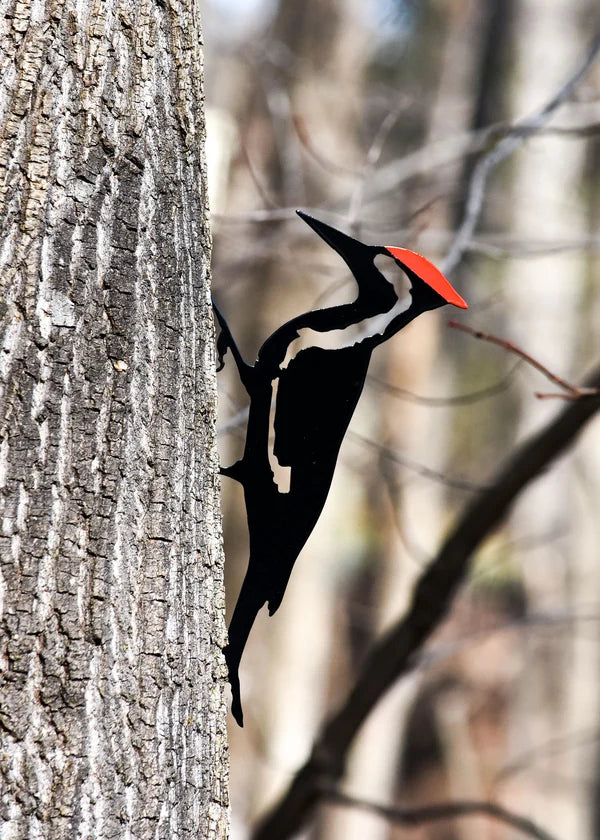 Pileated Woodpecker Metal Bird Steel Garden Yard Art